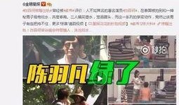 爆料衡水出轨视频大全集,揭秘婚外情背后的真相与反思