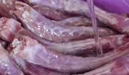 央视爆料鸭脖视频播放,揭秘网络谣言背后的真相